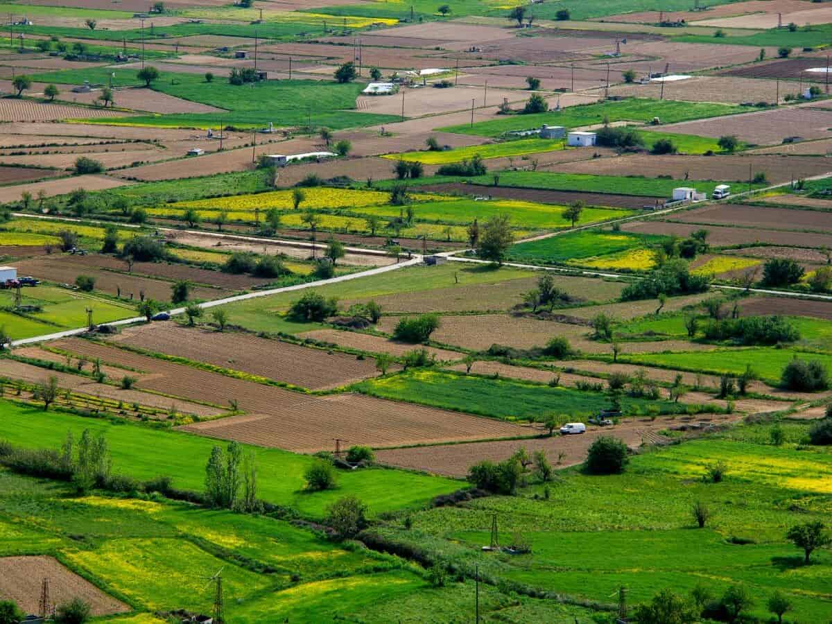 Agricultural Land property
