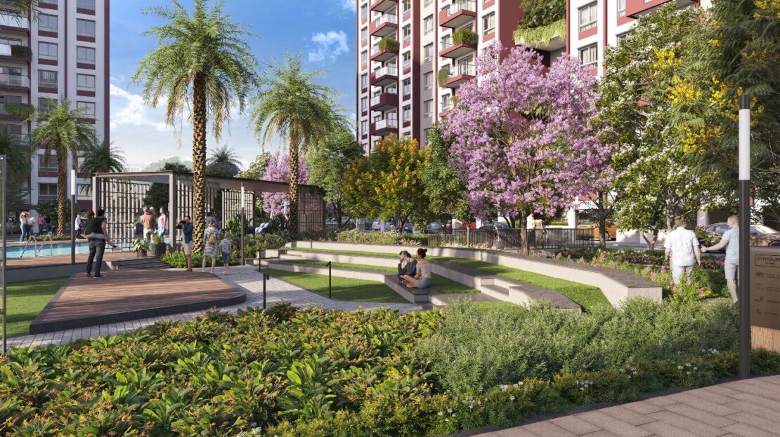 Open Space at Sunny Groves